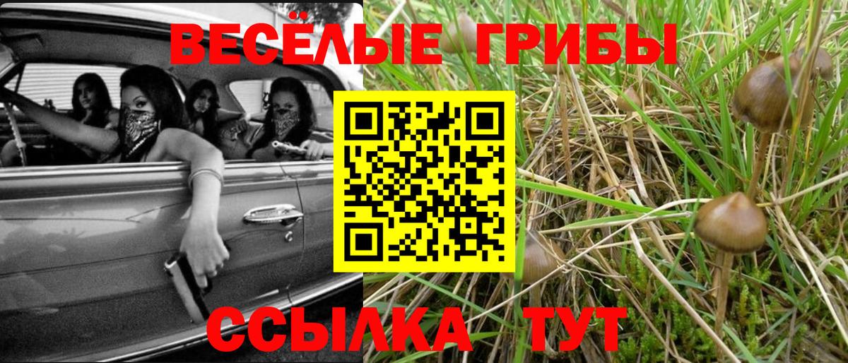 Псилоцибиновые грибы ЛСД  Вход с VPN  Карачаевск  Псилоцибиновые грибы Cubensis 