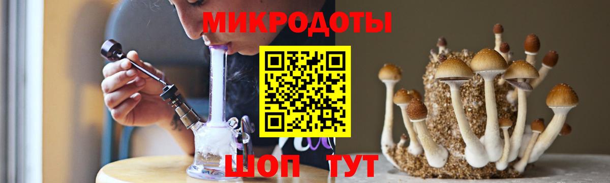 Галлюциногенные грибы мухоморы Карачаевск
